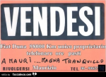 1631869137351.png