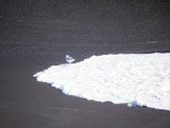 Ice0178.JPG
