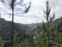 Colombia-209.jpg