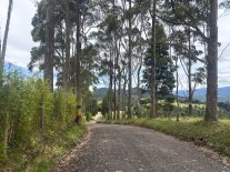 Colombia-205.jpg