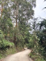 Colombia-197.jpg