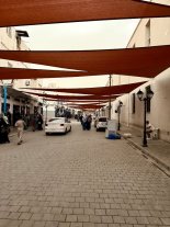 IMG_0624.jpg