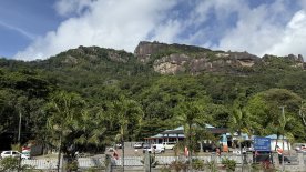 IMG_3947.JPEG