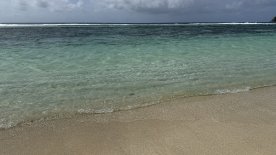 IMG_3961.JPEG
