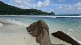 IMG_3999.JPEG