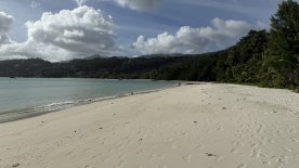 IMG_4008.JPEG