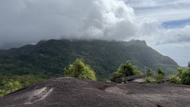 IMG_4048.JPEG