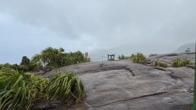 IMG_4062.JPEG