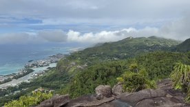 IMG_4109.JPEG