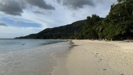 IMG_4140.JPEG
