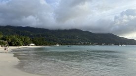 IMG_4155.JPEG