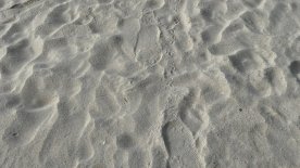 IMG_4139.JPEG