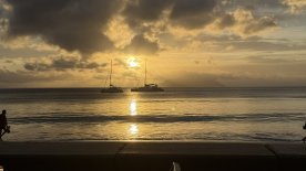 IMG_4163.JPEG