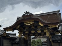 IMG_2148 Large.jpeg IMG_2148 Large.jpeg