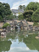 IMG_2150 Large.jpeg IMG_2150 Large.jpeg