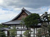 IMG_2151 Large.jpeg IMG_2151 Large.jpeg