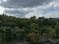 IMG_2152 Large.jpeg IMG_2152 Large.jpeg