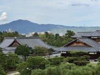 IMG_2154 Large.jpeg IMG_2154 Large.jpeg