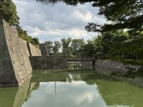 IMG_2155 Large.jpeg IMG_2155 Large.jpeg