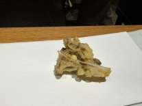 IMG_2172 Large.jpeg IMG_2172 Large.jpeg