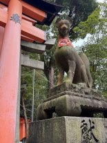 IMG_2183 Large.jpeg IMG_2183 Large.jpeg