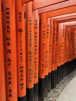 IMG_2184 Large.jpeg IMG_2184 Large.jpeg