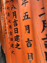 IMG_2186 Large.jpeg IMG_2186 Large.jpeg