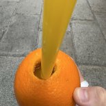 IMG_2191 Large.jpeg IMG_2191 Large.jpeg