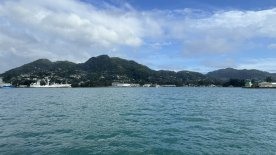 IMG_4172.JPEG