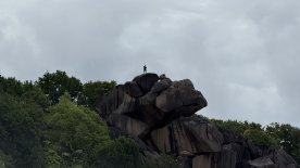 IMG_4182.JPEG