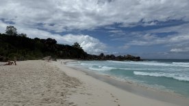 IMG_4195.JPEG
