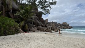IMG_4192.JPEG