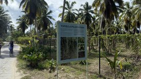 IMG_4255.JPEG