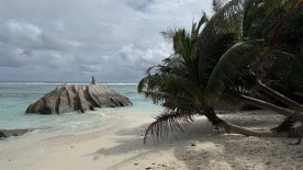 IMG_4232.JPEG IMG_4232.JPEG