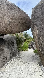 IMG_4205.JPEG