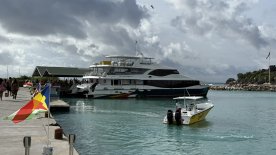 IMG_4271.JPEG