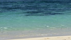IMG_4322.JPEG