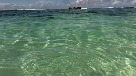 IMG_4328.JPEG