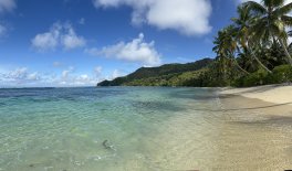 IMG_4358.JPEG