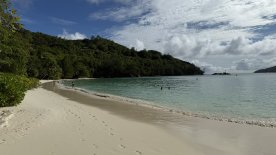 IMG_4389.JPEG