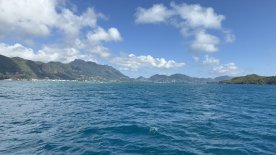 IMG_4417.JPEG