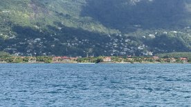 IMG_4431.JPEG