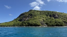 IMG_4472.JPEG