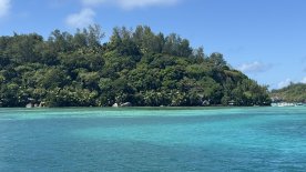 IMG_4498.JPEG