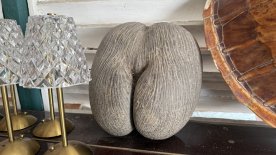 IMG_4647.JPEG