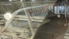 IMG_4682.JPEG