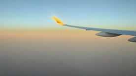 IMG_4690.JPEG