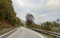 IMG_6768 Large.png