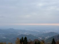 IMG_6826.jpeg