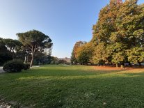 IMG_6869 Large.jpeg